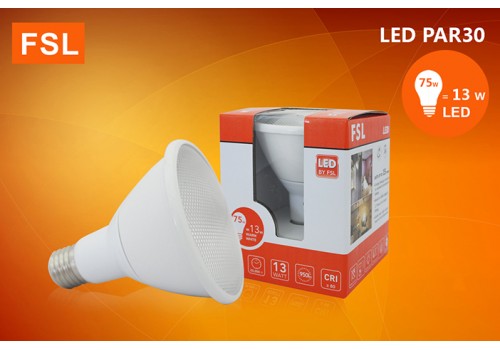 FSL-PAR30-13W
