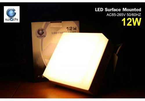 IWACHI-SURFACE-MOUNTED-12W-WW