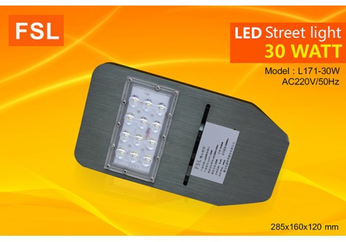 FSL-S-L171-30W