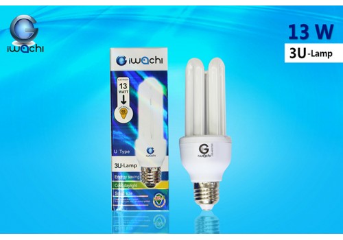 IWACHI-3U-13W