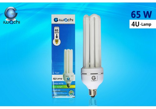 IWACHI-4U-65W