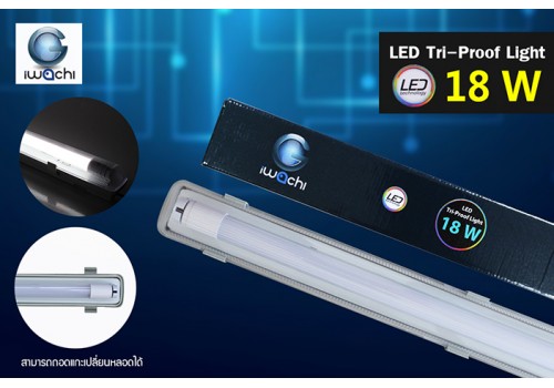 IWACHI-LED-TRI-PROOF-18W-WH/WW