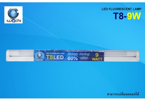 IWACHI-SET-GE8118-T8-9W