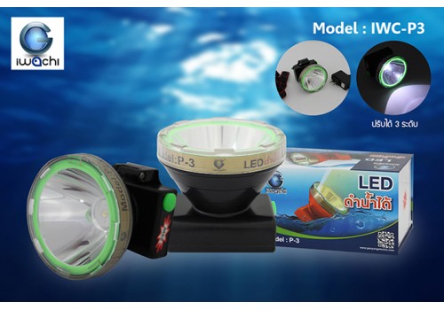 IWACHI-P3-WH-Yellow/WH