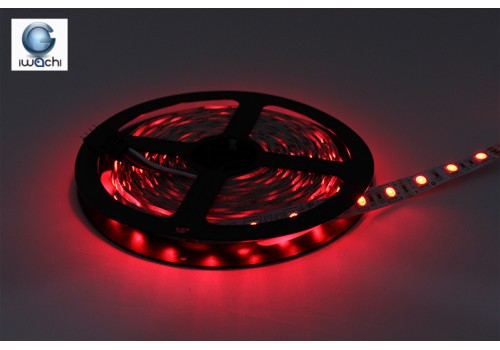  IWACHI-5050-5M-RED