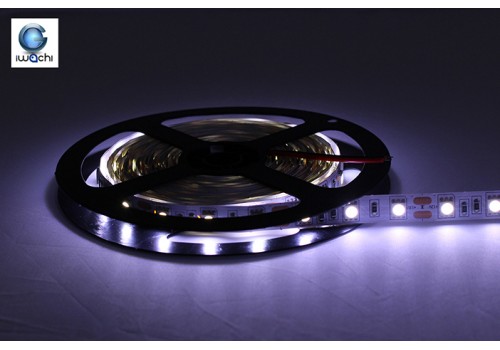 IWACHI-5050-5M-White