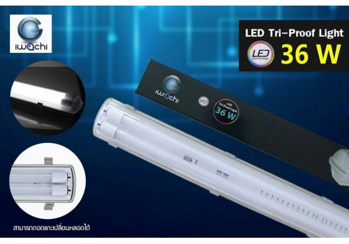 IWACHI-Tri-Proof-36w