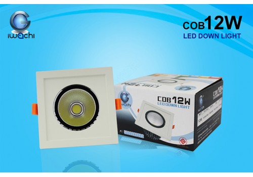 IWACHI-DL-COB-12W