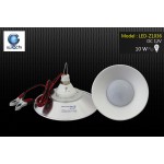 IWACHI-LED-Z1036-10W