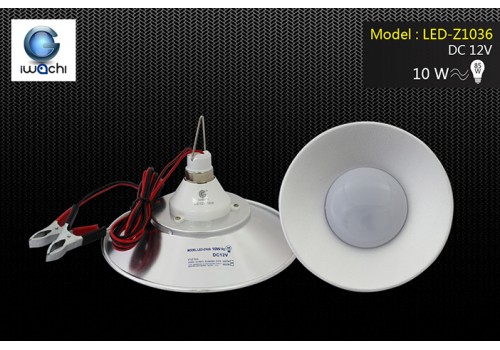 IWACHI-LED-Z1036-10W