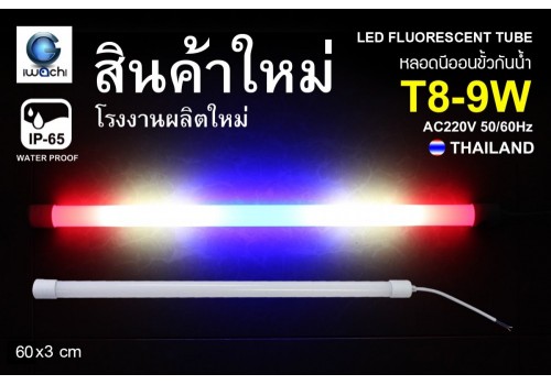 หลอดนีออนสี ขั้วกันน้ำ รุ่นใหม่ IWC-LED-GE-8309-N-9W-WBR