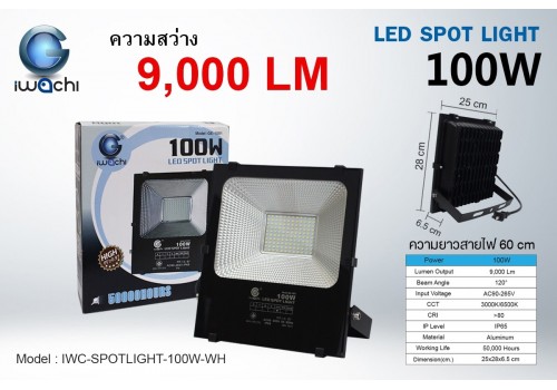IWACHI-SPOTLIGHT-100W-WH สปอร์ตไลท์ แสงขาว