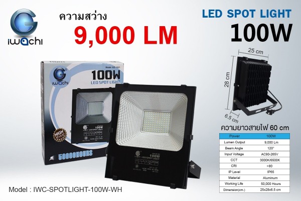 IWACHI-SPOTLIGHT-100W-WH สปอร์ตไลท์ แสงขาว